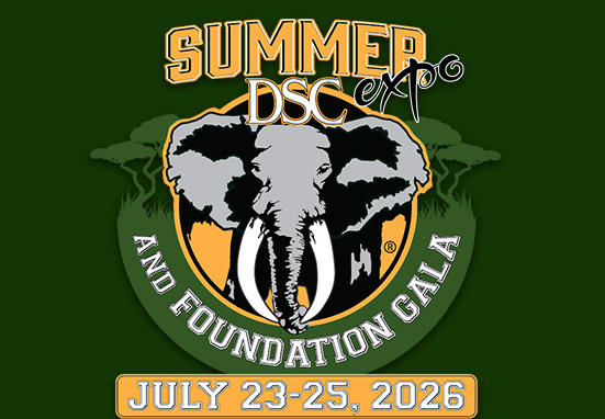 DSC Summer Expo 2026 logo